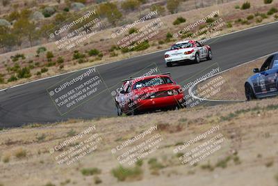 media/May-03-2025-Lucky Dog Racing (Sat) [[206de64b9d]]/Turn 2 (1020am-1120am)/
